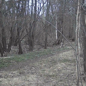 Hikers, bikers and one going off the trails