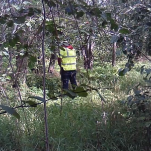 High-vis for a wizz