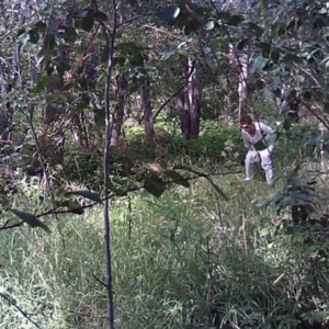 Deer and women caught on the trail