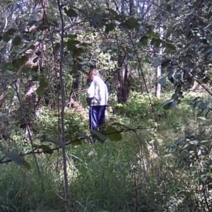 Peeing on the trees