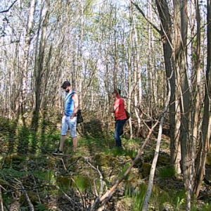 Repeat visitors to the cruising trail