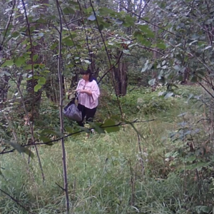 Picking flowers and watering the grass