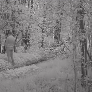 Activity returns to the pee trail