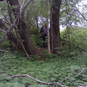 A little lurking around the trail