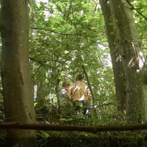 Highlight – A couple “bears” playing in the woods