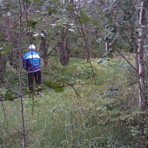 A messy day at the pee trail