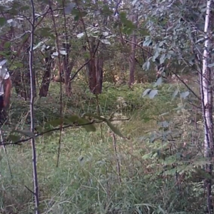 Same trail with a new view