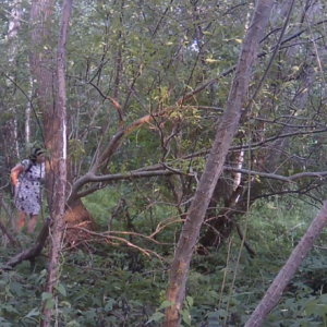 Great views from our cameras