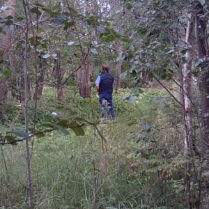 Grab bag from the pee trail