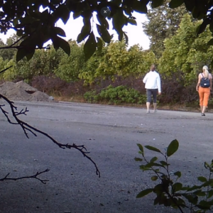 Various visitors wandering around the area