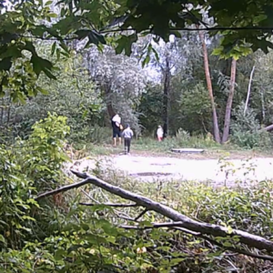 Men coming to pee and family pitstop