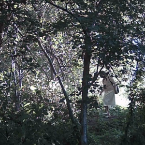 Poking around in the woods