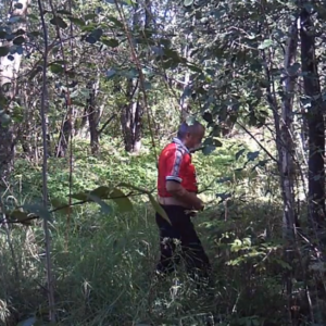 Men on the pee trail