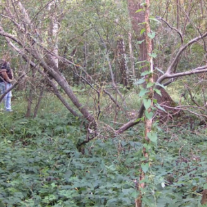 Men strolling down the trail to pee