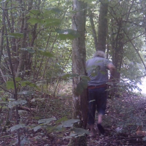 A dump and men in the woods