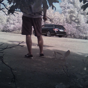 Just lurking around the beach lot
