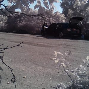 Vehicles and lurkers around the parking lots