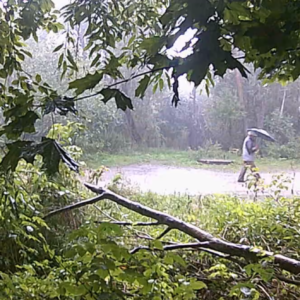 Smoking in the woods and heavy rain