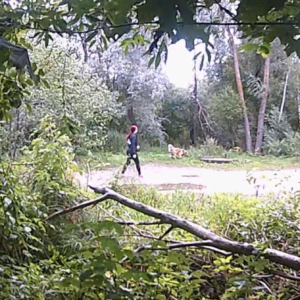 Dog walkers on a stormy day