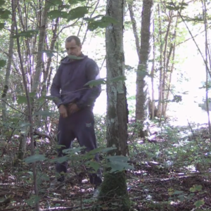 Several men coming to the woods