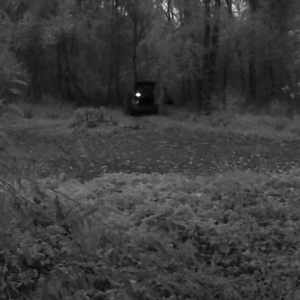 Illegal dumping in the woods