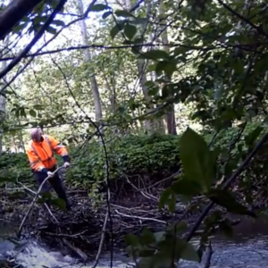 Beaver Dam Removal – Part 1