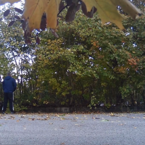 Quick pee into the bushes