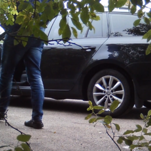 A man exposed and a few birds in the bushes