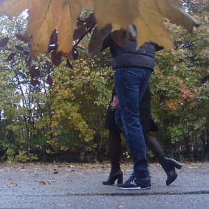 A nice autumn day