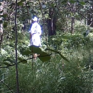 Men down at the pee trail