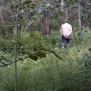 A casual walk down the trail