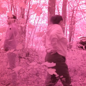 Couple peeing in the woods