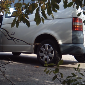 The van man at the beach lot