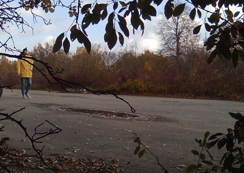 A nice day to visit the beach lot - The Tree Spy