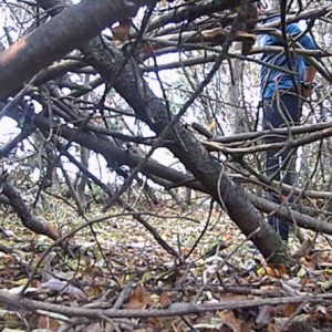 Men and women in the beach forest