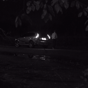 Late night visit to the lot