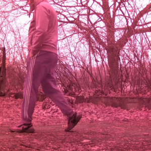 Littering and searching the forest