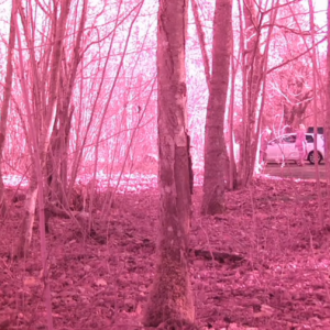 Running around at the trailhead