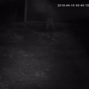 Dirty duty in the dark