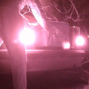 Night time shenanigans in a car