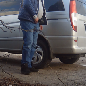 Birds and the van man