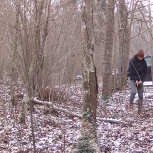 Taking a pee in the snow
