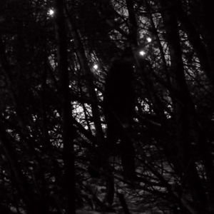 Van man and men in the woods