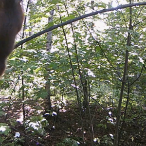 Squirrel wanted a close-up