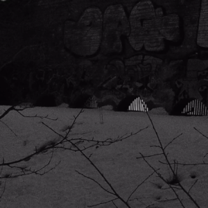 Activity in the dark