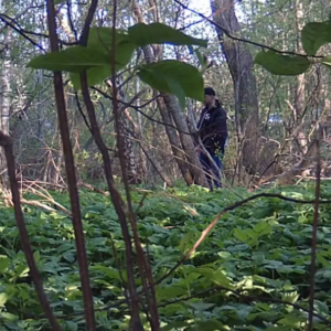 A man visiting the trail