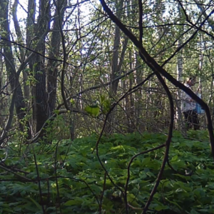 A few visitors to the trail
