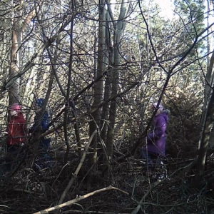 Field trip into the woods