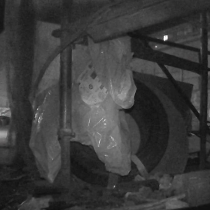 Sneaking around at the construction site