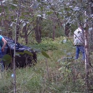 Shopping cart in the woods and lovers in a car